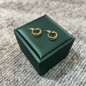 Dainty Gold Huggie Hoop Post Earrings ✨